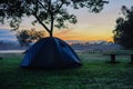 Camping dark blue tent on grass nature in early morning or during sunrise beautiful view, golden morning light, Summer camping. Royalty Free Stock Photo