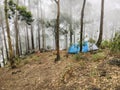 camping experince in sri lanka Royalty Free Stock Photo
