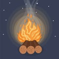 Camping fire icon flat. Vetor illustration