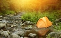 Camping in the Forest Royalty Free Stock Photo