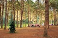 Camping in forest