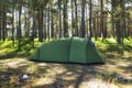 Camping in a forest. Scene with tourist tent in green forest near the sea.