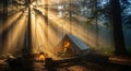 Camping in Forest Tent, Fire, and Sun Rays through Trees Royalty Free Stock Photo