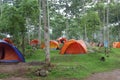 Camping ground in the wet land in west java
