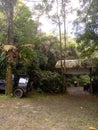 camping ground in Halimun Hill Sukabumi