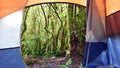 Camping inside the forest.