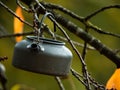 Camping kettle hanging in autumn tree branches Royalty Free Stock Photo