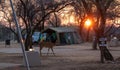 Camping at Mabalingwe Nature Reserve Royalty Free Stock Photo