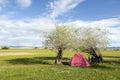 Camping in Mongolia