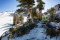 Camping in Mountains of Desolation Wilderness, California Royalty Free Stock Photo