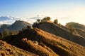 Camping mountainside.