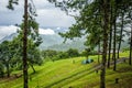 Camping near the scenic spot at chiang mai in thailand