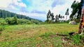 camping pines forest nature tree scenary tropic hiking tracking rest recreation holiday backtonature tents cidahu mount salak