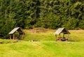 Camping place on a glade in forest Royalty Free Stock Photo