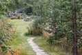 Camping rest area for picnic with stone footpath and wooden table bench on green grass in pine forest Royalty Free Stock Photo