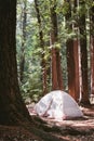 Camping in sanborn county park Royalty Free Stock Photo