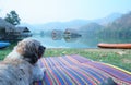 Camping with Shih Tzu dog enjoy to relaxing in nature landscape