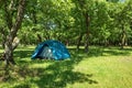 Tent in the shadow, in the forest. Camping site. Spring landscape