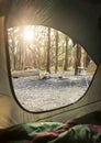 Camping Sunrise Through Tent Royalty Free Stock Photo
