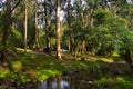 Camping in the Tarra Valley on the Tarra River, Gippsland, Victoria, Australia