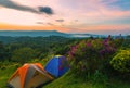 Camping tent in campground at national park with sunrise Royalty Free Stock Photo