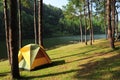 Camping tent in forest by the river Royalty Free Stock Photo