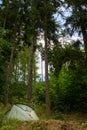 Camping tent in a forest, summer campsite, adventure family vacation