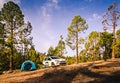 Camping with a tent in a forest. Sunrise in a forest with pine trees. Canary Islands 28-09-2021 - La Lajas, Spain