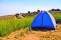 Camping Tent on hill