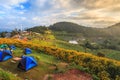 Camping tent - Mountain Landscape