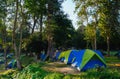 Camping tent in the national park