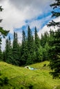 Camping. Tent near the forest