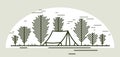 Camping tent in pine forest vector linear illustration isolated on white, holidays and vacations in woods line art, design