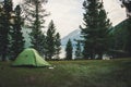 Camping and tent under the pine forest Royalty Free Stock Photo