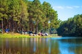 Camping and tent under the pine forest Royalty Free Stock Photo