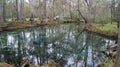 Camping tests in the beautiful forest in Ginnie Springs, Florida