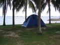 Camping tents among coconut trees Royalty Free Stock Photo