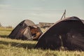 Camping tents on the lawn, a relaxing time with nature