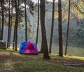 Camping tents near lake in the morning Royalty Free Stock Photo