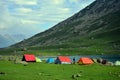 Camping tents at the Nundkol lake in Sonamarg, Kashmir, India Royalty Free Stock Photo