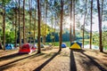 Camping tents under pine trees with sunlight at Pang Ung lake, Mae Hong Son in THAILAND