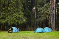 Camping. Tourist tents in the forest