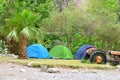 Camping. Tourist tents in the rainforest by the sea.