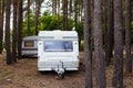 Camping trailers in the forest