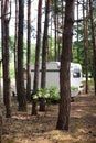 Camping trailers in the forest