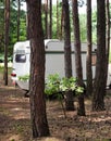 Camping trailers in the forest