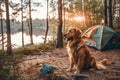 Camping trip to the lake for a family with their beloved dog and a tent on a warm summer day Royalty Free Stock Photo