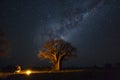 Camping under baobab`s and milkyway
