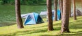 Camping Under The Pine Forest, Blue Tent Near Lake At Pang Oung, Mae Hong Son, Thailand. Travel, Trip And Vacation Concept