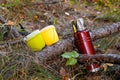 Camping utensils for picnic in the forest. Red metal thermos and plastic mugs for making coffee and tea on a hike Royalty Free Stock Photo